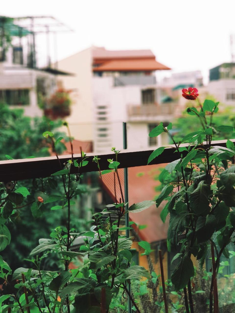 Ali House Διαμέρισμα Ανόι Εξωτερικό φωτογραφία